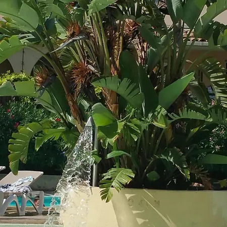 شقة 2 P Vue Piscines A 2 Pas De La Parking Inclus كان